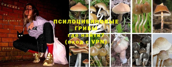 прущая мука Баксан