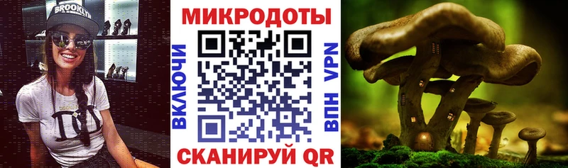 Галлюциногенные грибы мухоморы мориарти Telegram Новый Уренгой