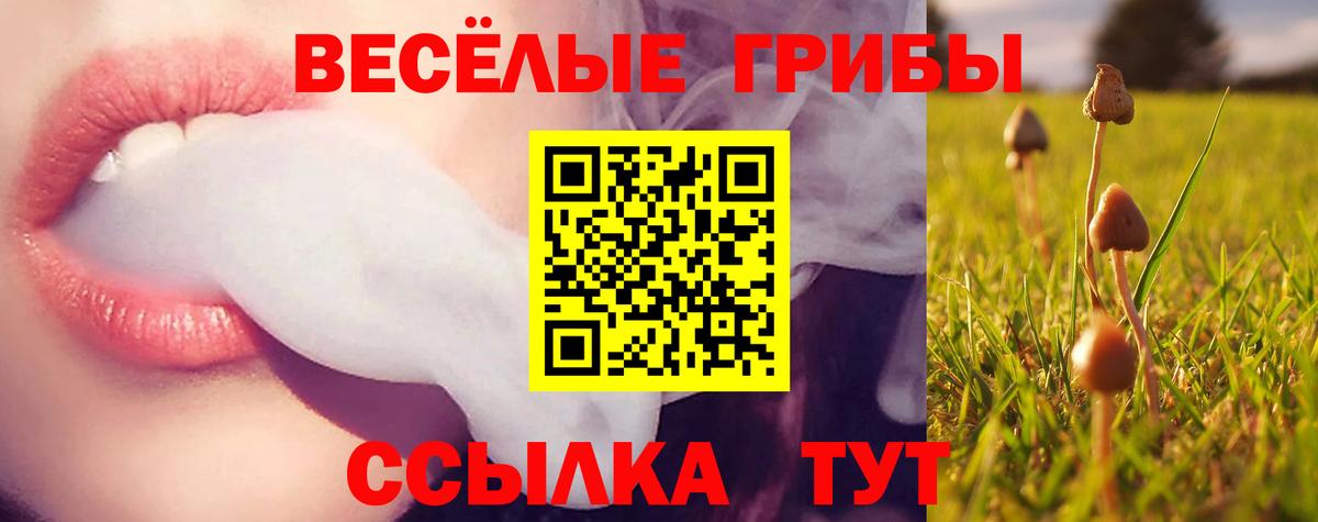 Псилоцибиновые грибы мицелий  закладки  Новый Уренгой  Вход с VPN 